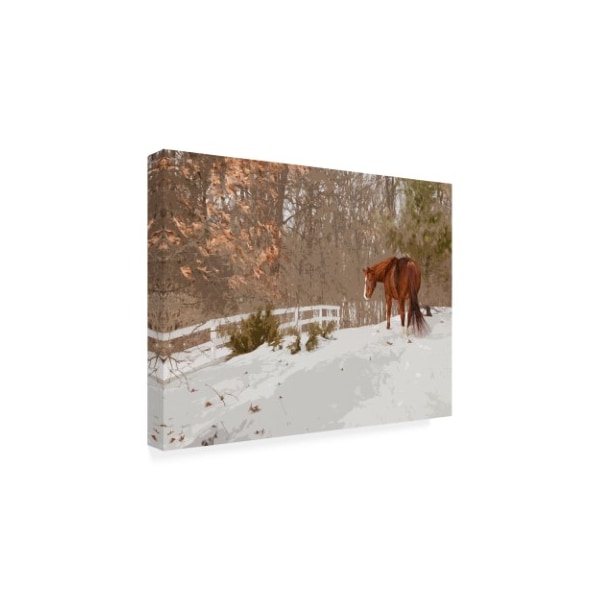 Monte Nagler 'Horse In The Snow Milford Michigan' Canvas Art,14x19